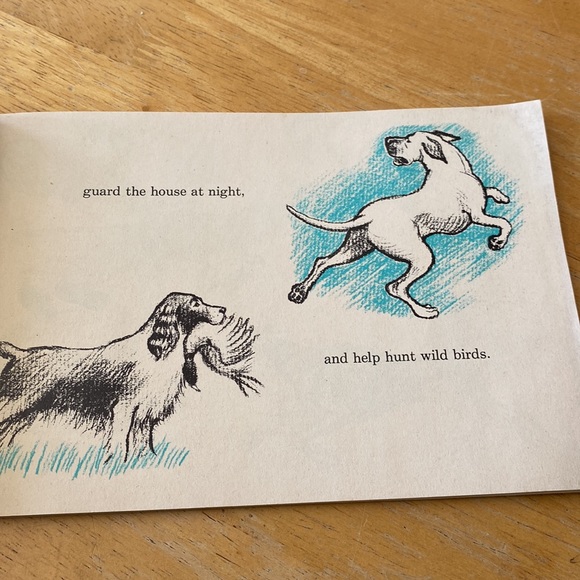 Vintage 1973 I can read about dogs and puppies children’s book - Picture 5 of 7